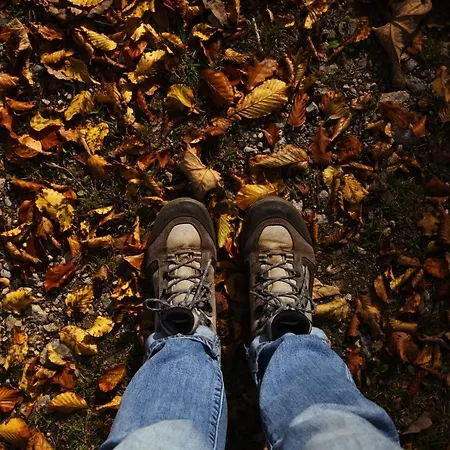 Le Baron Appartamento