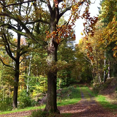 Le Baron Appartamento