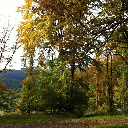 Le Baron Appartamento