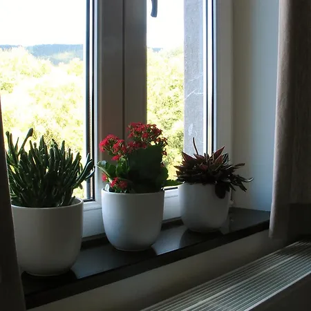 Apartment Le Baron *